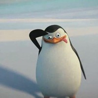 马达加斯加的企鹅搞笑头像